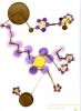 Sacrosuono sistema connessione individui